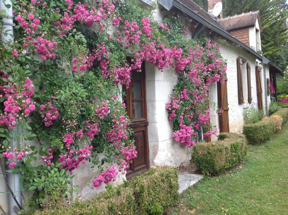Gite O Beauval Saint-Aignan  Exterior foto